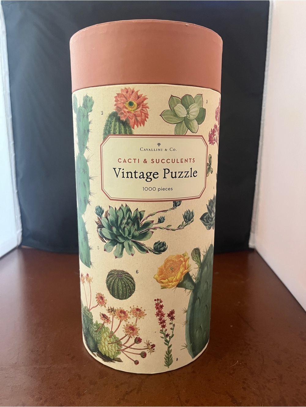 Cavallini & Co. Cacti & Succulents Vintage Puzzle - Terracotta Lid